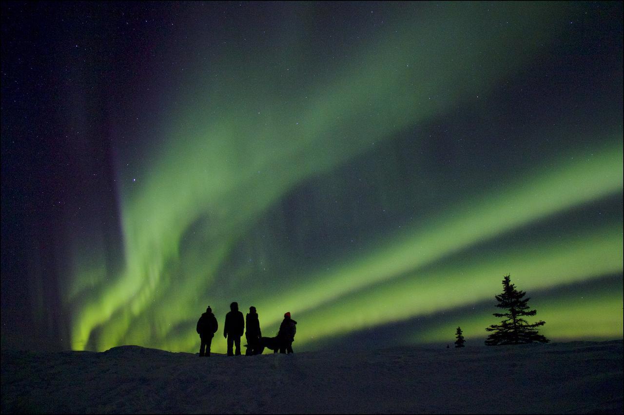 Caribou Lodge Alaska Talkeetna Exteriér fotografie