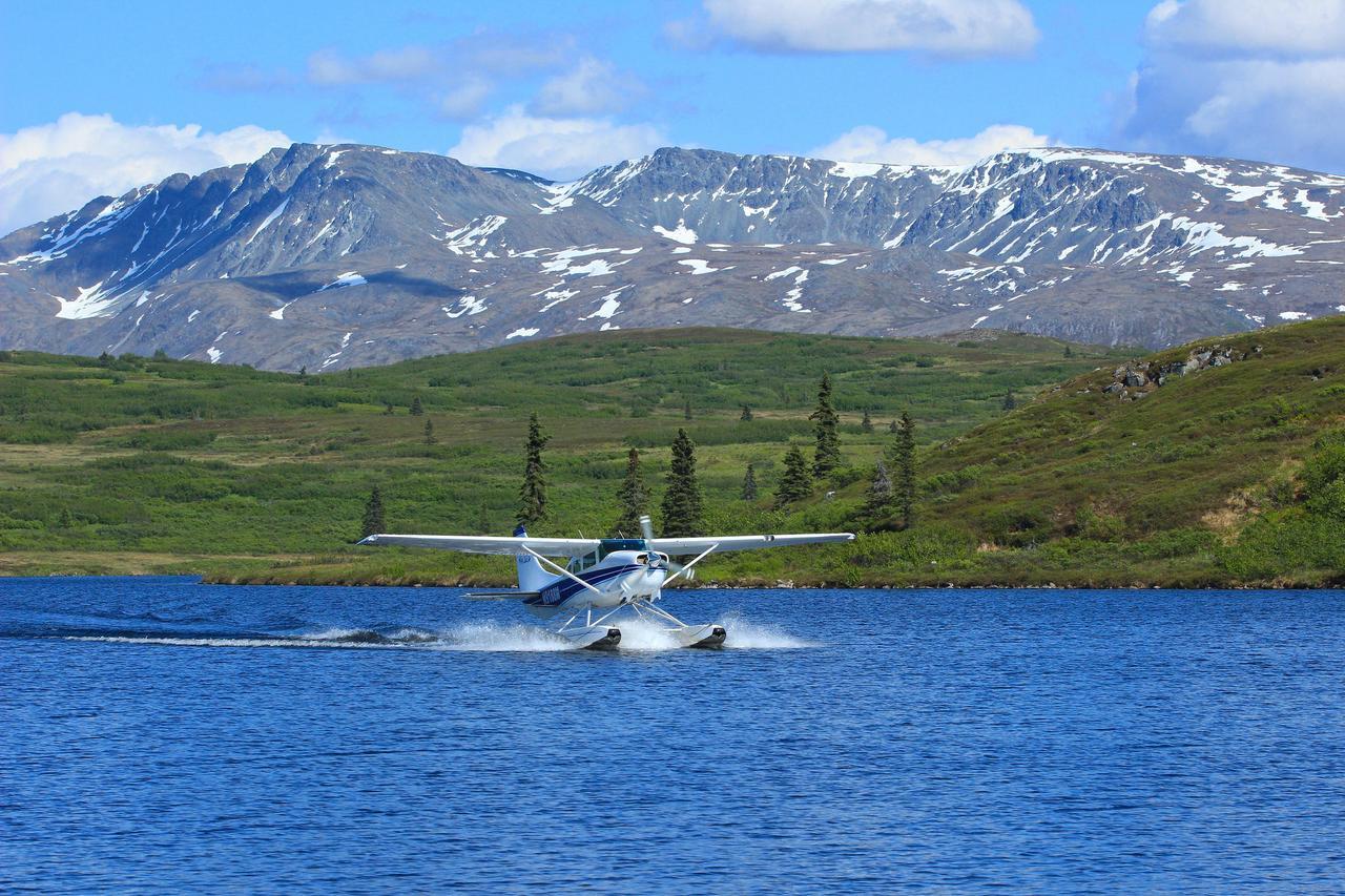 Caribou Lodge Alaska Talkeetna Exteriér fotografie