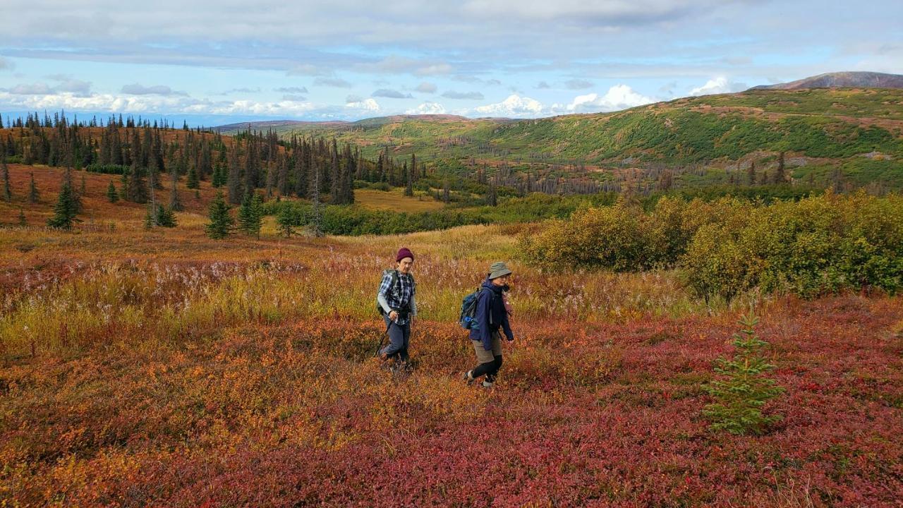 Caribou Lodge Alaska Talkeetna Exteriér fotografie