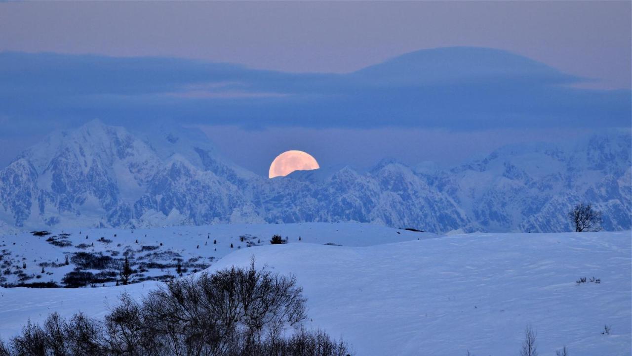 Caribou Lodge Alaska Talkeetna Exteriér fotografie